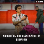 Marco Pérez toreará seis novillosen Madrid